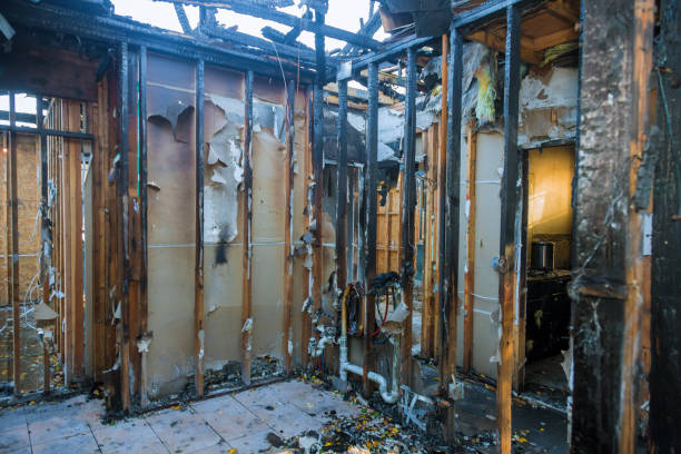 Professional Fire Damage Removal technician working in Davis, CA